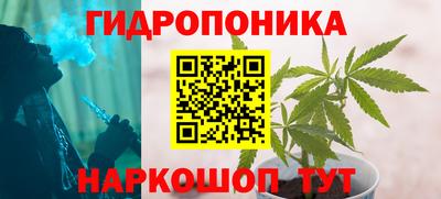 скорость Заводоуковск