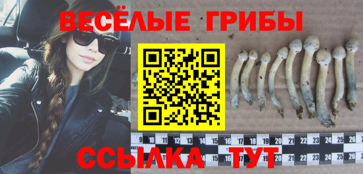 Ленинск-Кузнецкий  Псилоцибиновые грибы мухоморы  Вход с VPN 